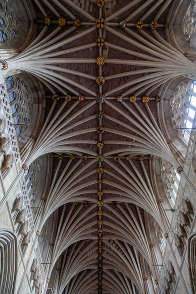 It's a portrait orientation view from inside a cathedral looking up and along the long nave of the building and its vaulted ceiling which runs uninterrupted along the entire length. Each of the five columns we can see along each side reaches the roof and splits into eleven branching ribs forming skeletal hands joining at their finger tips all the way down.