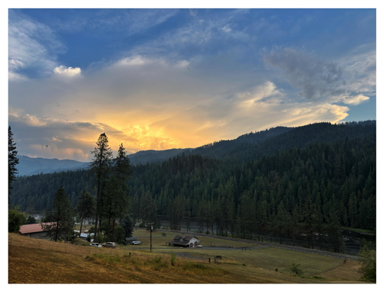 An Idaho landscape at sunset. A wide field slopes down to a distant homestead with houses and parked cars under tall conifer trees, then to a road and a river. On the far bank, fir-covered hills rise and recede into the distance. The western sun, out of frame, lights up the clouds in gold against a blue sky. At left is the tiny figure of a lone, soaring hawk, and beyond it, curtains of rain on the horizon.
