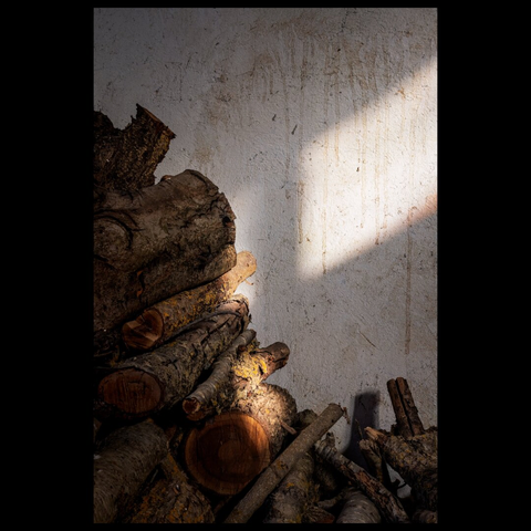 You can see some cut firewood logs