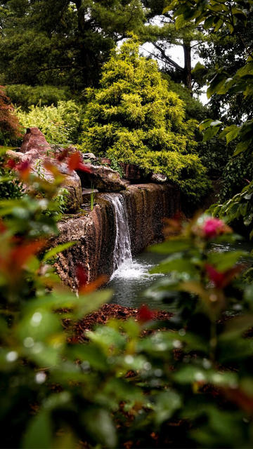 A blurry foreground of green bushes with bits of red frames an in-focus landscaped waterfall in the distance. There are different kinds of trees and foliage surrounding this water.