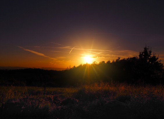 Ein Foto von einem Sonnenuntergang. Die Sonne strahlt noch knapp über den hügeligen, bewaldeten Horizont.Weiter oben fängt der Himmel schon an in die Blaue Stunde überzugehen. Die Sonne erreicht mit ihren letzten Strahlen die Wiese im Vordergrund.