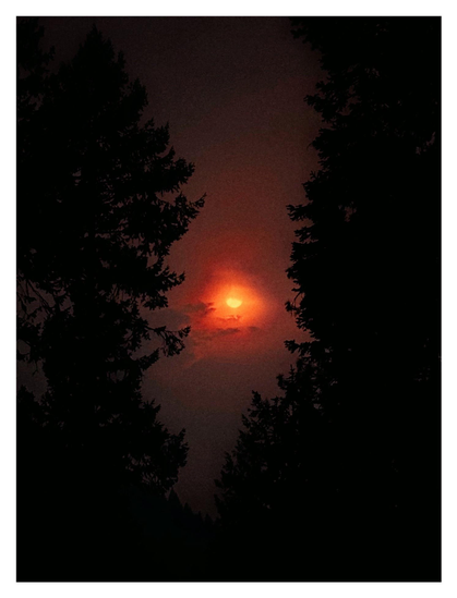 A red setting sun shines through clouds in a sky ominously darkened by smoky haze, flanked by the silhouettes of two conifers.