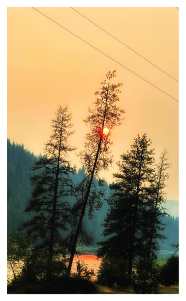 Scene in rural Idaho on a smoky day. In the foreground is a stand of conifers, with the red setting sun cradled in the branches of the central tree. A river flows behind, and a forested hillside rises on the far bank. A couple of power lines cut diagonally through a sky of orange haze.