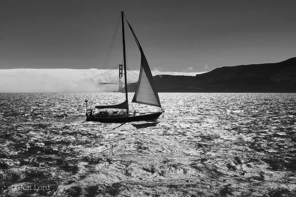 This is a high contrast black and white photo of a sailing boat with a bank of sea fog in the background.
From the base of the image and rising upwards to a little above the halfway  point is a body of jet black water, disturbed with small wavelets. The bright sun is reflecting off the water creating a mottled black and bright white surface. In the middle ground is a sailing boat, viewed in profile, of about ten metres in length, under sail and moving from left to right. The wind is from the stern and the boat only has the jib raised with the wind filling it to the right. In the distance to the right of the image is a ridge of terrain descending from the right margin to the centre where it touches the water. At that point is the tower of a large suspension bridge with just a short span of deck in view before it is obscured by a wall of sea fog. The top of the fog bank is just below the top of the bridge tower, with fog bank continuing in line with the terrain, along to the left margin. Above is a darkened clear and cloudless sky.
The body of water is the San Francisco Bay and the bridge is the Golden Gate Bridge (2016).