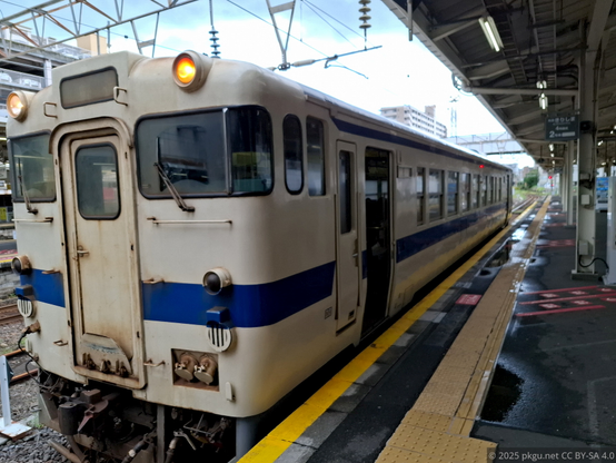 KiHa 40 of JR Kyushu for Nippo main line. Kagoshima Chuo station.