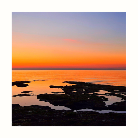 A serene coastal sunset with vibrant orange, pink, and purple hues reflecting on calm water. A small bird stands in a tidal pool to the left of the photo. Dark rocky silhouettes create contrast, a tranquil sunset on the southwest coast of England 