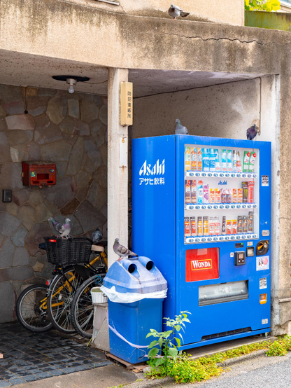 Ein blauer Getränkeautomat in Tokio, umgeben von Fahrrädern, Mülltonnen und mehreren Tauben, die darauf und daneben sitzen.
