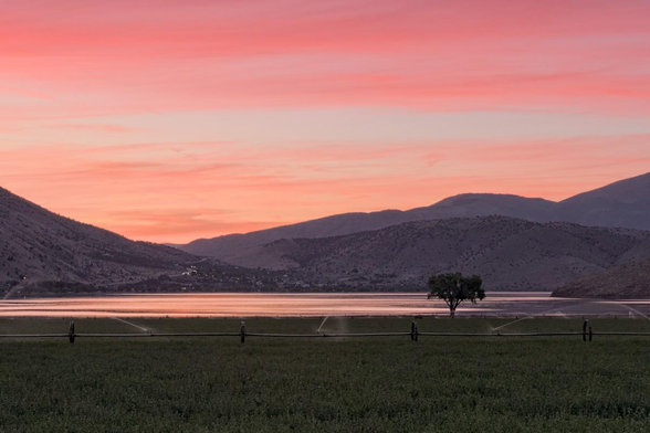 A color landscape photo of a sunset over a small lake. In the foreground is an agricultural field with a irrigation system watering the short plants. It's one of those irrigation systems that's a straight line of pipe on wheels that slowly roll across the field. There is a lone tree on the right past the irrigation system and at the lake's edge. It has an oval shape. The lake beyond is set in a low area with mountains in the background. The sky is heavily streaked with red, orange, and yellow brightly glowing thin clouds.