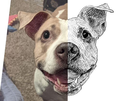 Black and white drawing of a pit bull named Lana, with the left half of the image being the reference.