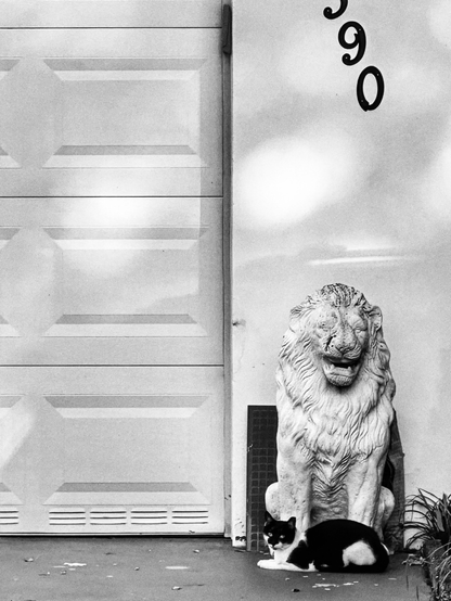 A cat sitting right next to the lion stone statue by the garage door