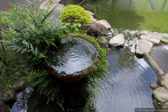 The garden in Sengan-en, Kagoshima, Japan.
