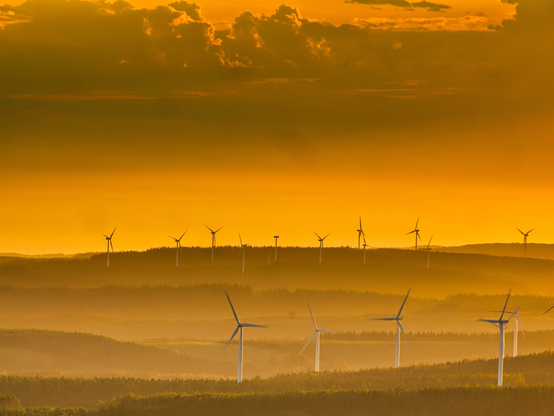A landscape featuring numerous wind turbines set against a sunset sky with orange and yellow hues, surrounded by distant trees and rolling hills.