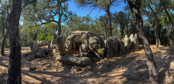 Color photo of a prehistoric megalithic dolmen surrounded by a ring of stones, set within a forest of pine and oak trees. 
