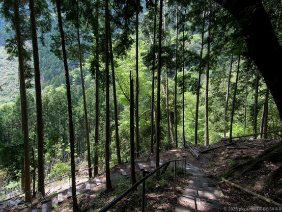 Mount Kurama, Kyoto, Japan.