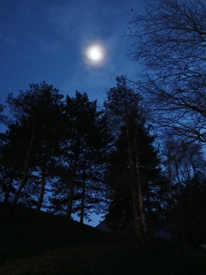 Une lune éclaire la forêt de son halo

