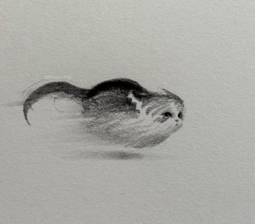 A pencil drawing of a small, fluffy kitten with large, dark eyes, seemingly floating or moving rapidly through the air. The kitten's body is rounded and rendered with a motion blur effect, and its tail curves behind it, also blurred to indicate speed.