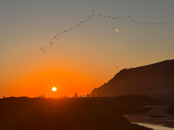 sun setting in a fiery sky. people are silhouetted on a beach in the middle distance, there is a large cliff to the right and a flock of pelicans traces an abstract arrow in the sky