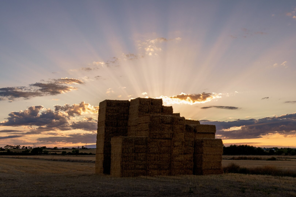 Montón de pacas de heno apiladas en un campo al atardecer, con rayos de sol que se abren por detrás de las pacas y entre las nubes en el cielo. 

English: Stack of hay bales in a field at sunset, with sun rays breaking through the clouds in the sky."