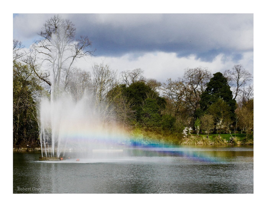 A fountain in a small lake in a London park. A small rainbow projects from the right side of the fountain, arcing down to the surface of the water. In the background are some trees and a moody sky with clouds.