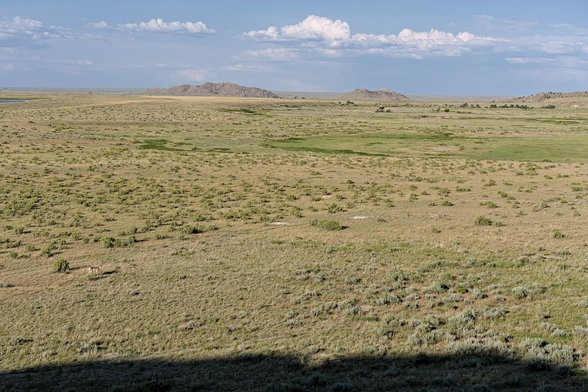 A color landscape photo of a mostly flat landscape covered in short green grasses, sagebrush, and other small shrubs. On the horizon there's a low elongated hills right and left of center frame. The sky is blue with a layer of puffy white clouds. There's a pronghorn (a deer like animal) in the lower left. It is tiny. The shadow of the hill the photographer is standing on is visible across the bottom of the frame.