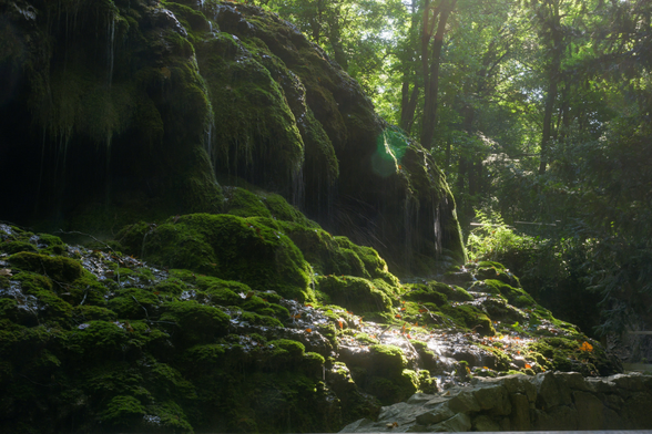 A cluster of rocks covered in green moss with water drippling all over it. Behind we can see some trees and a beam of light peeking through them