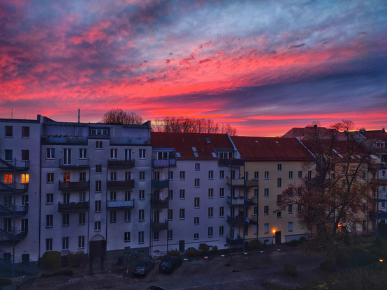 Extrem pinker Sonnenaufgang über Mehrfamilienhäusern
