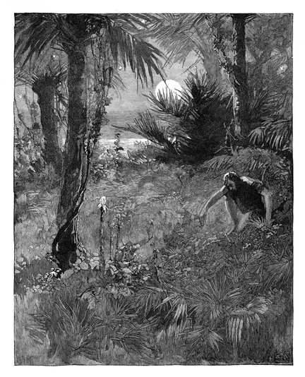 A man is crouched pensively at night amid a tropical landscape of tall grass, palm trees, and fronds. The starry sky and the sea are visible in the background through the layered vegetation, along with the moon that illuminates the scene.