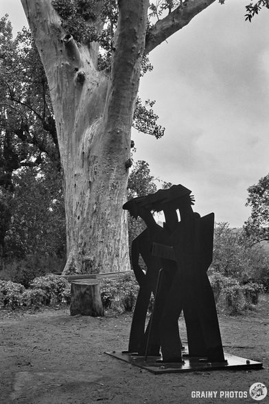 A black-and-white film photo of artwork of people silhouettes in a park in Santiago de Compostela⁩, ⁨Spain⁩