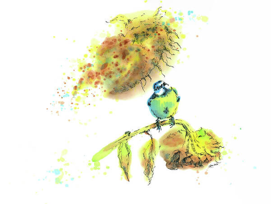 A cute little blue titmouse is sitting in the garden on the withered sunflowers and is choosing delicious sunflower seeds for breakfast or lunch. Ink drawing in landscape format colored with vibrant watercolor in shades of yellow, ocre, green and brown by artist Karen Kaspar.