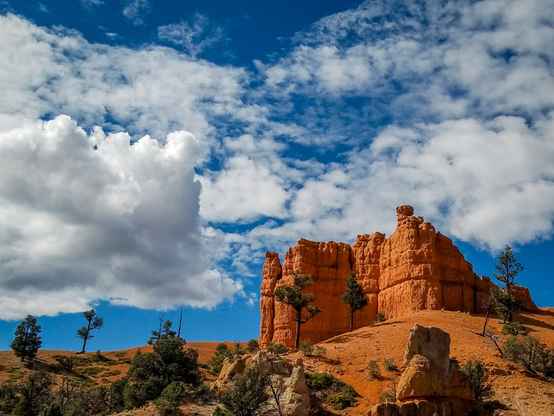 Red rock formations rise against a vivid blue sky dotted with fluffy white clouds, with scattered pine trees growing along the rugged desert hillside.