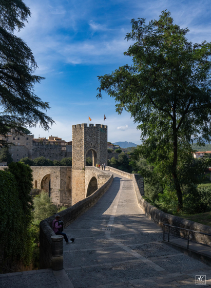 Color photo looking between shadowed trees of a curved Romanesque bridge with a crenellated tower in the middle.