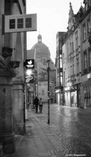 Münster im Winter 2024