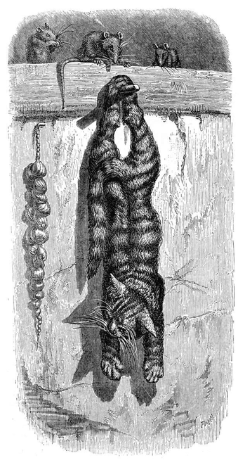 Three mice look at a cat hanging on a peg, holding on only by its hind paws and pretending to be dead.