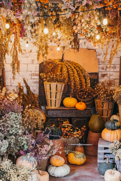 A cozy autumn display featuring pumpkins of various colors and sizes arranged among baskets of dried flowers and seed pods. Warm hanging string lights illuminate the scene, while bundles of dried flowers and herbs hang from the ceiling. In the background hangs a mural of a large pumpkin.