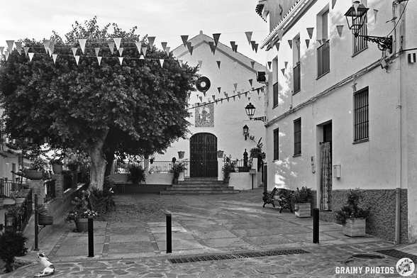 A quiet, sunlit village square in Guájar-Faragüit with a large tree, festive bunting, benches, and the white Iglesia San Lorenzo in the background. A cat lies on the stone pavement in the foreground.