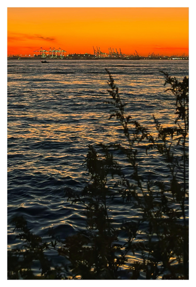 Photo of the waters of the Upper Bay (part of New York Harbor), as seen from Red Hook, Brooklyn at sunset. The horizon is at the uppermost fifth of the photo, where we can see a line of shipping cranes on the far New Jersey shore, lit up like Christmas lights under an orange sky. The rest of the image is taken up by the waters of the bay, its waves like little mountain ranges with shadowed valleys and gold-lined peaks. In the foreground are silhouettes of some long-stemmed plants on the near shore, rising from bottom frame to the horizon line.