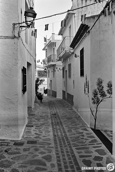 A narrow, cobblestone alleyway in Guájar-Faragüit winds between white buildings, adorned with hanging flags. A streetlamp and a mural of plants decorate the right wall. The scene is quiet and depicted in black and white.