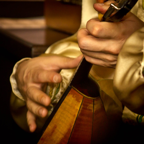The photo shows two hands playing a lute. One hand (left) extends across the strings, while the fingers of the left hand wrap around the neck of the lute, pressing down on the strings. You can see a section of the wooden lute and the musician's silk sleeves. The light is soft and yellow, and the photo isn't entirely sharp. It's a bit like an old painting.