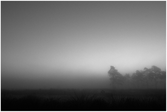Schwarzweisaufnahme einer Moorlandschaft bei Sonnenaufgang. Dicker Nebel liegt über der Landschaft