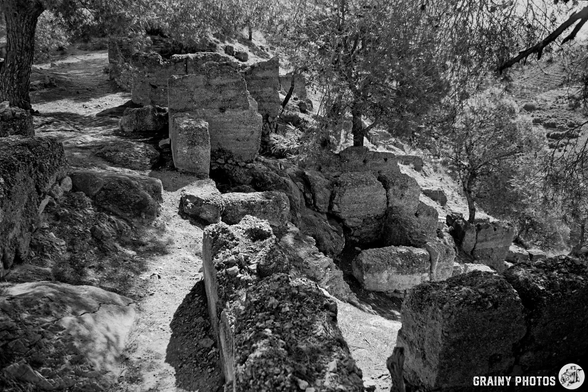 Black and white photo of the abandoned Castillejo ruins near Guájar-Faragüit, surrounded by trees and rough terrain, with sunlight filtering through the branches. The image has a grainy texture