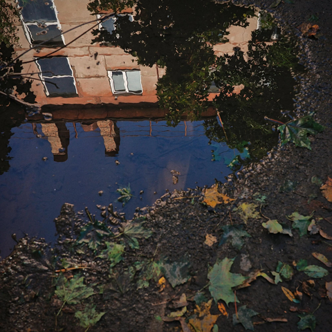 The puddle reflects a building, and there is mud and autumn leaves around it.