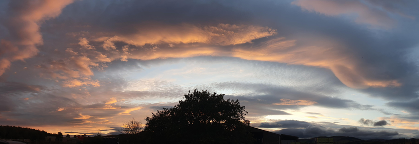 A sunset panorama with the top of a tree silhouetted in the bottom centre. There are streaks of dark cloud, tinged orange arching across the tree and pale blue sky showing through