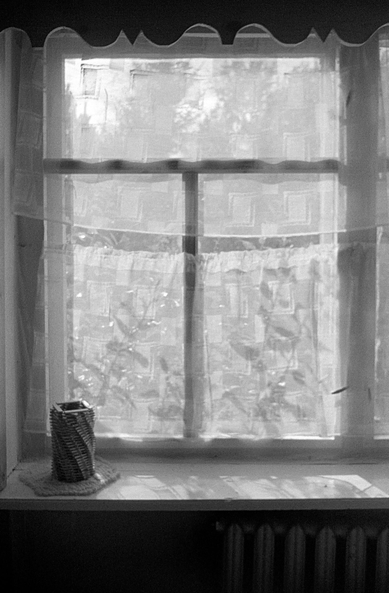 A black-and-white close-up of a village house window. The window is covered with a curtain, through which you can see the branches and leaves of shrubs. There is a wicker vase on the windowsill.