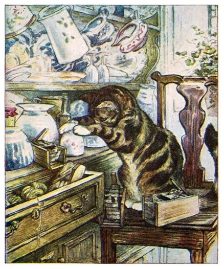 A cat sits on a chair by a dresser, looking for something worthy of interest in an open drawer.