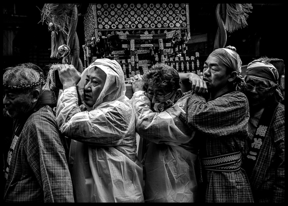 Portadors del mikoshi amb impermeables transparents.