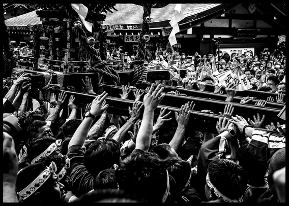 Portadors del mikoshi mostren les mans que fan suport de les bigues.