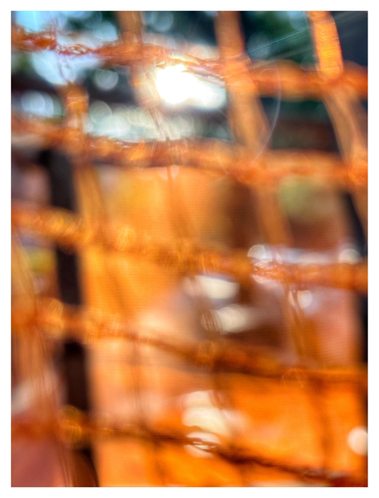 Photo of the sun shining through tree leaves, as seen through the mesh of orange safety netting in the extreme foreground. The fine mesh texture of additional netting in the middle distance, stretched over a wooden frame, can also be seen. Everything in the image is out of focus, with a lens flare around the sun and all points of light softened into bokeh.