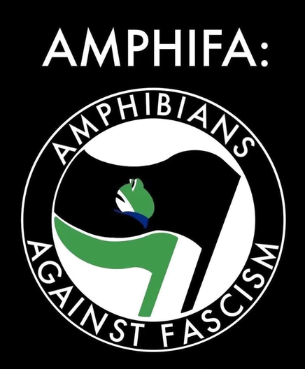 Against a black field the word AMPHIFA: over a circle within a circle, the words AMPHIBIANS AGAINST FASCISM between the two circles, and inside, a black flag partially overlaid atop a green flag with a picture of the Portland Frog on the top black flag.