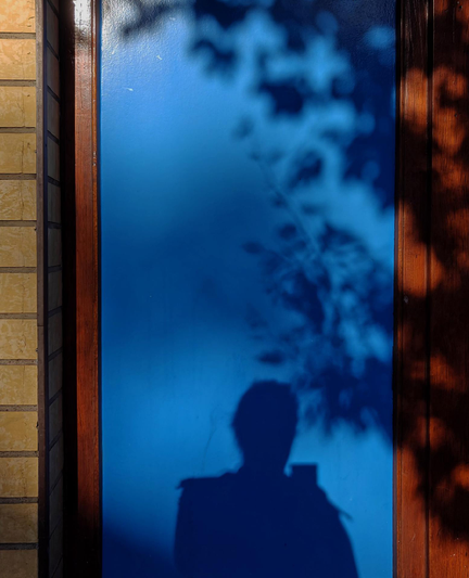 A photo showing a bright blue door with shadows of a person holding a phone and of a tree branch with leaves.

