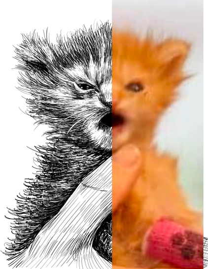 Black and white drawing of an orange kitten named Tater Tot with an angry face, with the right half of the image being the reference.